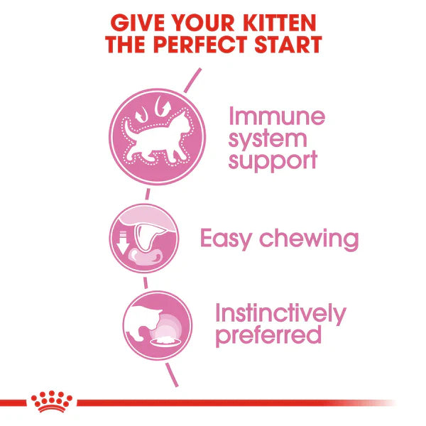 Royal Canin Kitten Thin Slices in Gravy Wet Food – 85 g Pouch (Up to 12 Months)