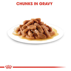 Royal Canin Kitten Thin Slices in Gravy Wet Food – 85 g Pouch (Up to 12 Months)