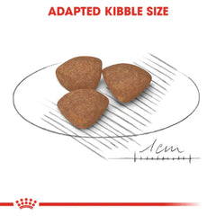 Royal Canin Mini Puppy Dry food for small dogs