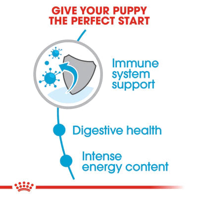 Royal Canin Mini Puppy Dry food for small dogs