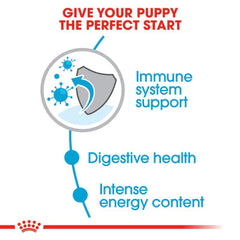 Royal Canin Mini Puppy Dry food for small dogs