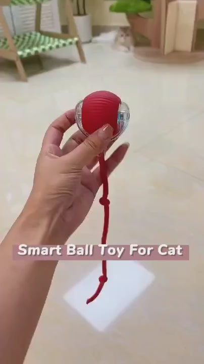 Crazy Pet Ball Toy for Cats & Dogs