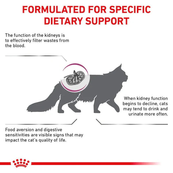 Royal Canin Feline Renal For Cat - Dry food for chronic kidney diseases