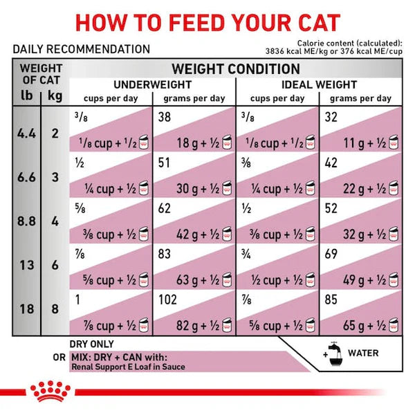 Royal Canin Feline Renal For Cat - Dry food for chronic kidney diseases