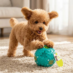 Nunbel Chickball for Dogs, Dog Toy, Sound Ball
