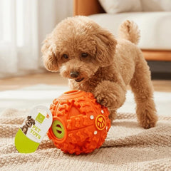 Nunbel Chickball for Dogs, Dog Toy, Sound Ball