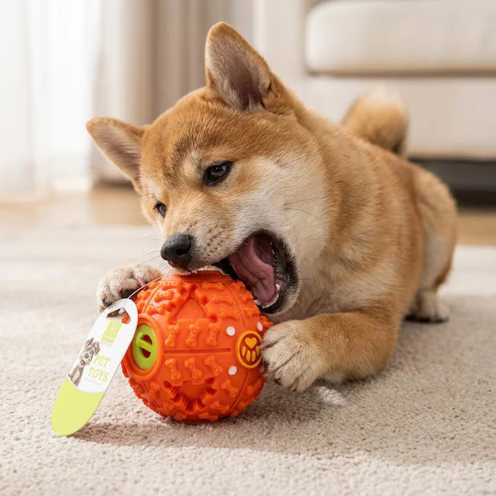 Nunbel Chickball for Dogs, Dog Toy, Sound Ball