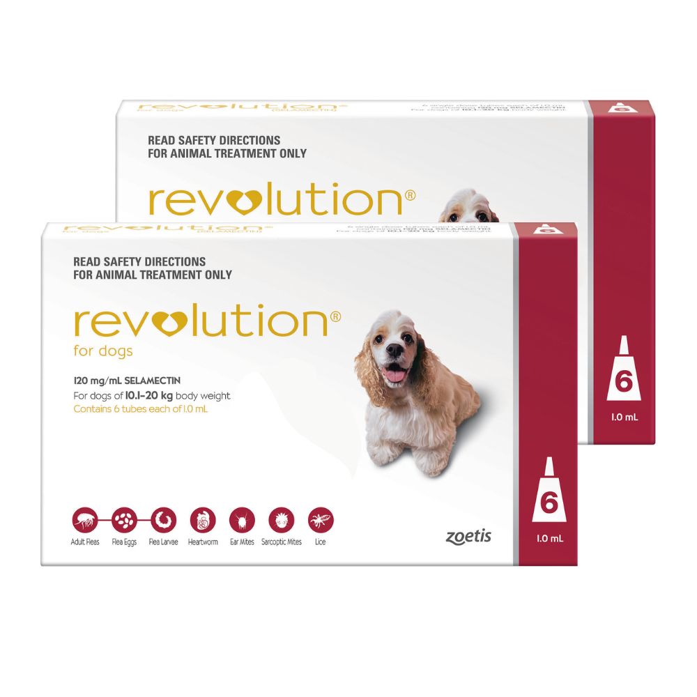 Revolution Topical Solution for Dogs,  20.1-40 lbs - 1 Pipette
