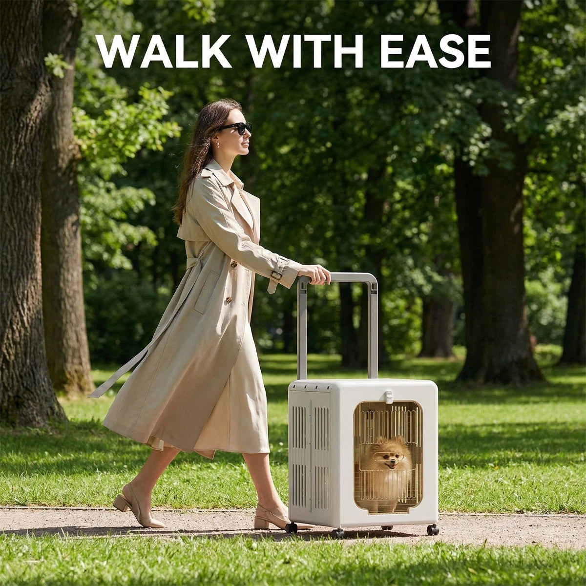 Air Travel Approved Carriers in Pet Carriers & Crates