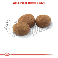 Royal Canin Sterilised 37 Dry Food – (Neutered Adult Cats)