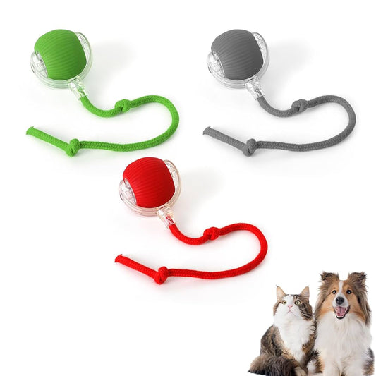 Crazy Pet Ball Toy for Cats & Dogs